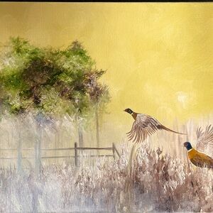 Pheasants in the foggy morning